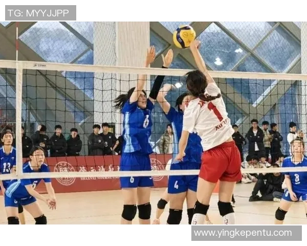 西安排球队实力引发热议球迷对排球战术与选手表现的不同看法