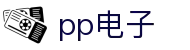 pp电子（中国）股份公司官网